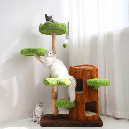  볪 Ʈ 3  ĹŸ PMC-6537