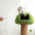 ���� �볪�� ���� ������ ĹŸ�� PMC-6538 ����