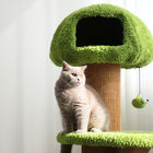 ���� �볪�� ���� ������ ĹŸ�� PMC-6538 ����