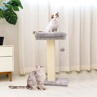 ���� ���� ����� ��ũ���� Ÿ�� �׷��� PMC-743