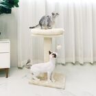 ���� ���� ����� ��ũ���� Ÿ�� ������ PMC-742 ����