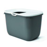 ��� ȩ�� ȭ��� �׷���