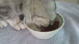 ̾ Ĺ丮 ĵ ġ& 80g ̿ ı