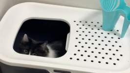 ��� ȩ�� ȭ��� �׷��� �̿� �ı�