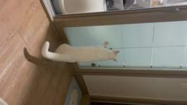 ����Ÿ�� ��ܶ�� �������� ������ �̿� �ı�