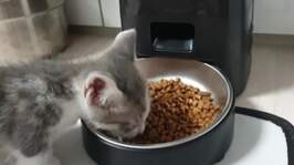  ı