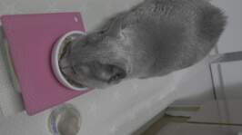 �ҽ��ǽ�Ʈ ȭ��Ʈ�� 6�� �޺� ĵ 24�� �̿� �ı�