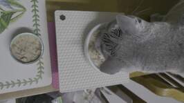 �ҽ��ǽ�Ʈ �޵鸮 �÷η�ƾ Ʃ�� ��ġ ĵ 85g �̿� �ı�