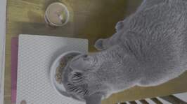 �ҽ��ǽ�Ʈ ȭ��Ʈ�� 6�� �޺� ĵ 24�� �̿� �ı�