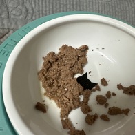 ҽǽƮ ȭƮ &ġ ĵ 85g ̿ ı