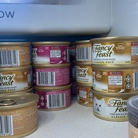 ҽǽƮ ȭƮ &ġ ĵ 85g ̿ ı