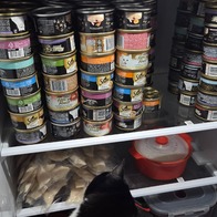 �ҽ��ǽ�Ʈ �ξ� ��ġ �������� �Ի� ���� �ҽ� ĵ 85g �̿� �ı�