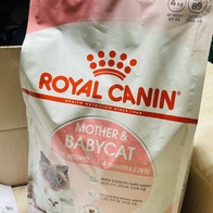 ξĳ ̻   ̺Ĺ 4kg ̿ ı