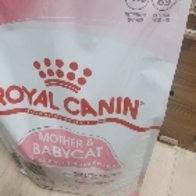 ξĳ ̻   ̺Ĺ 4kg ̿ ı