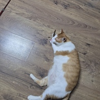  Ĺǽ ö  ̿ ı