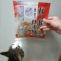 ī ν 40g ̿ ı