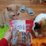  ī ν 40g ̿ ı