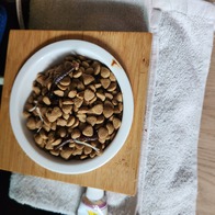  ƮƮ   50g ̿ ı