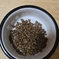 Ʈ ÷ Ĺ ε 2.4kg ̿ ı