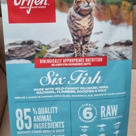 ������ �����̻�� 6 �Ľ� �ǽ� Ĺ 340g �̿� �ı�