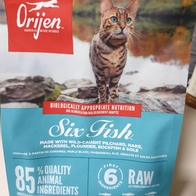 ������ �����̻�� 6 �Ľ� �ǽ� Ĺ 340g �̿� �ı�