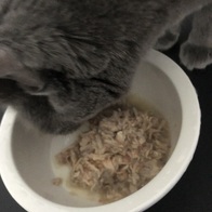 ���� ���Ǫ�� �߰����� 22g x 30�� �̿� �ı�