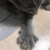 ���� ���Ǫ�� �߰����� 22g x 30�� �̿� �ı�