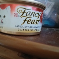 ǻ ҽǽƮ ȭƮ 7 ֽ ĵ ޺ 24 ̿ ı