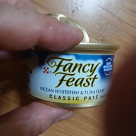 ҽǽƮ ȭƮ &ġ ĵ 85g ̿ ı