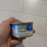 ҽǽƮ ȭƮ &ġ ĵ 85g ̿ ı