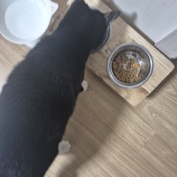 ���� ī����� ���� �����̽� ���ٶ��� �ױ⽺ 22g �̿� �ı�