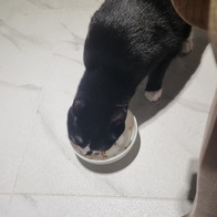 ҽǽƮ ޵鸮 ׷̺ 5 ޺ ĵ 24 ̿ ı