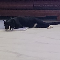 ҽǽƮ ޵鸮 ׷̺ 5 ޺ ĵ 24 ̿ ı