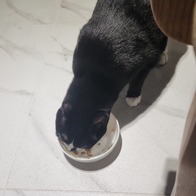 ҽǽƮ ޵鸮 ׷̺ 5 ޺ ĵ 24 ̿ ı