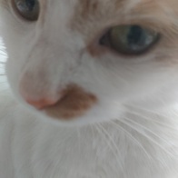  κθ  3kg (7L) ̿ ı