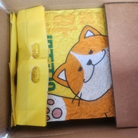 κζĹ ڳ  2.6kg (7L) ̿ ı