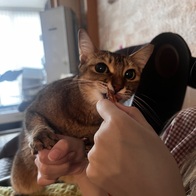 �̳��� í�� �򸣺��� ��ġ 12g 3���� �̿� �ı�