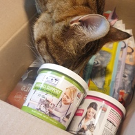 �긮���� ������� �߰����� 30�� �̿� �ı�