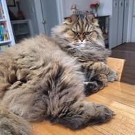 �̳��� �������극 ����� �������ν� 65g �̿� �ı�