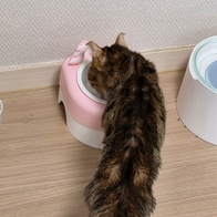 ī��� ������ �帵ũ ����Ʈ�� 135ml �̿� �ı�