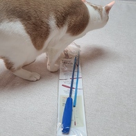   㲿 2   峭  ̿ ı