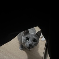   㲿 2   峭  ̿ ı