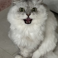 ���� Ĺ ���� �߰��� 2kg - ������� 2026.05 �̿� �ı�