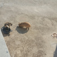 ̾ Ĺ丮 ĵ ġ& 80g ̿ ı