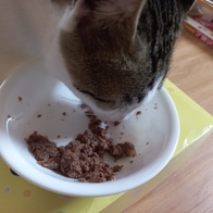 ̾ Ĺ丮 ĵ ġ& 80g ̿ ı