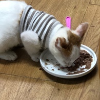 ̾ Ĺ丮 ĵ ġ& 80g ̿ ı