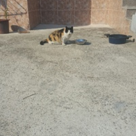 ̾ Ĺ丮 ĵ ġ& 80g ̿ ı