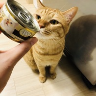 ̾ Ĺ丮 ĵ ġ& 80g ̿ ı