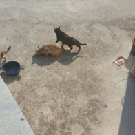 ̾ Ĺ丮 ĵ ġ& 80g ̿ ı