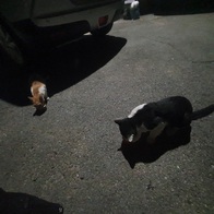 ̾ Ĺ丮 ĵ 6 ޺ 24 ̿ ı